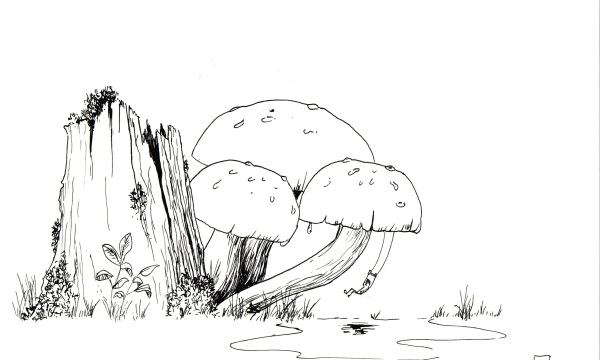 Champignon #12