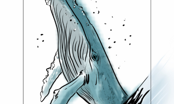 Ocean #01
