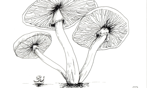 Champignon #03
