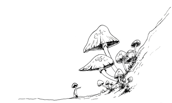 Champignon #06