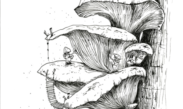Champignon #15