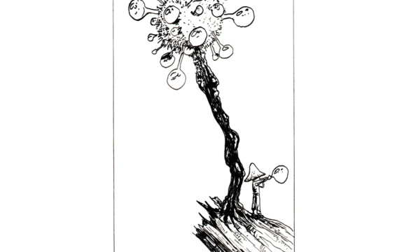 Champignon #20