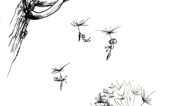 Champignon #28